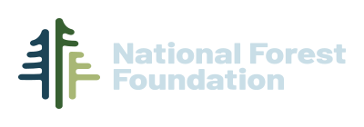 An elegant stylized logo for a reputable forest preservation and restoration charity organization named The National Forest Foundation.